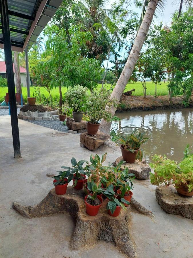 Pink Homestay D'Perlis Кангар Экстерьер фото